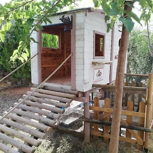 Azienda Agrituristica Le Betulle Riotorto